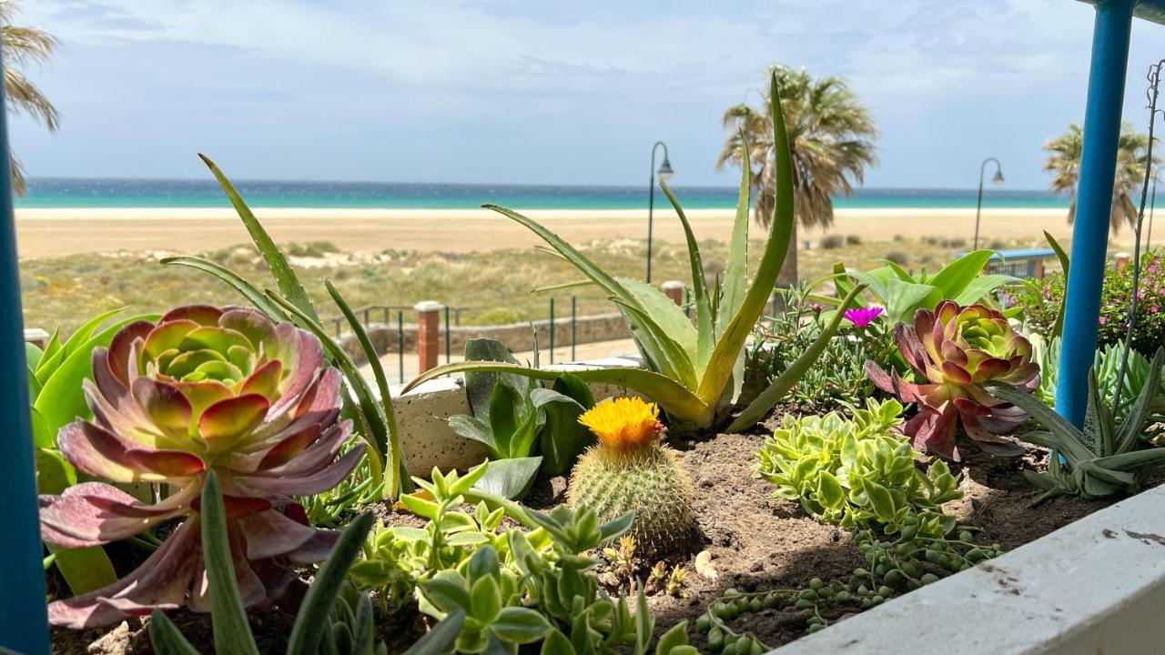 Tarifa Cozy House - Beachfront, Stylish Deco Zewnętrze zdjęcie